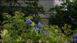 The Summer I Turned Pretty (Hindi) -  Season 01 Episode 04